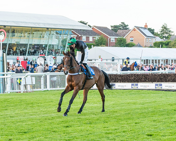Race 7 - ITM Championship Bumper (8 of 61)