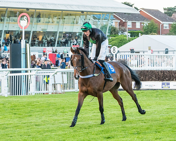 Race 7 - ITM Championship Bumper (9 of 61)