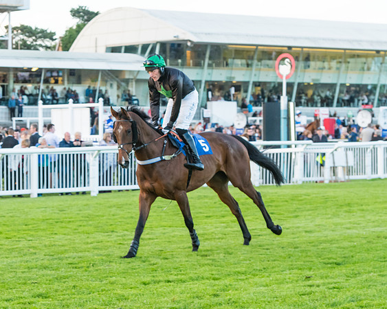 Race 7 - ITM Championship Bumper (11 of 61)