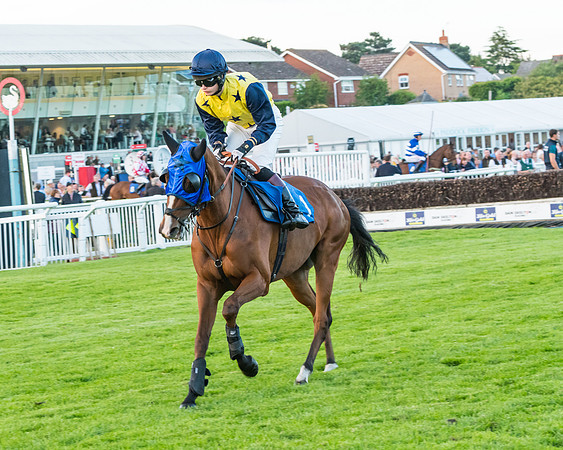 Race 7 - ITM Championship Bumper (13 of 61)
