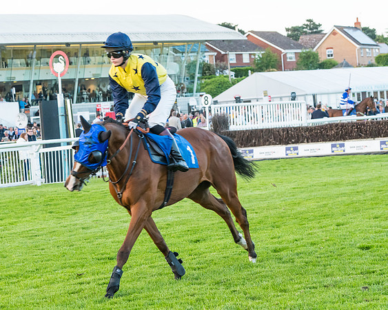 Race 7 - ITM Championship Bumper (14 of 61)