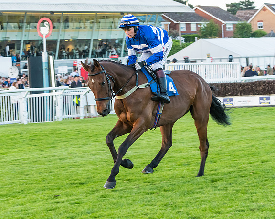 Race 7 - ITM Championship Bumper (19 of 61)