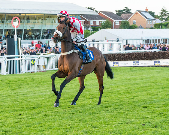 Race 7 - ITM Championship Bumper (22 of 61)