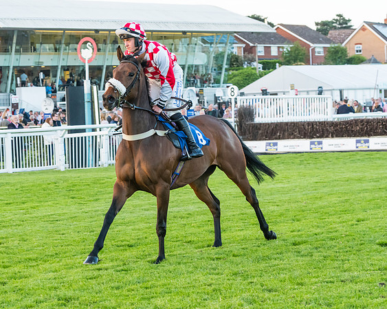 Race 7 - ITM Championship Bumper (23 of 61)