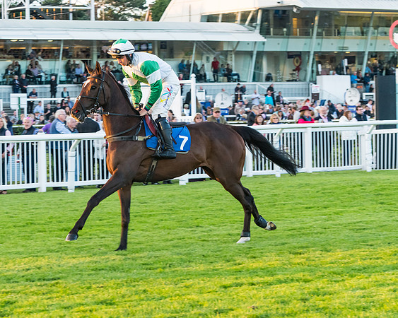 Race 7 - ITM Championship Bumper (30 of 61)