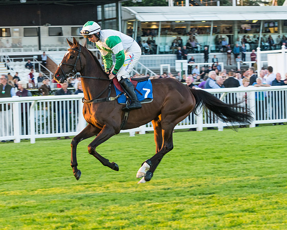 Race 7 - ITM Championship Bumper (31 of 61)