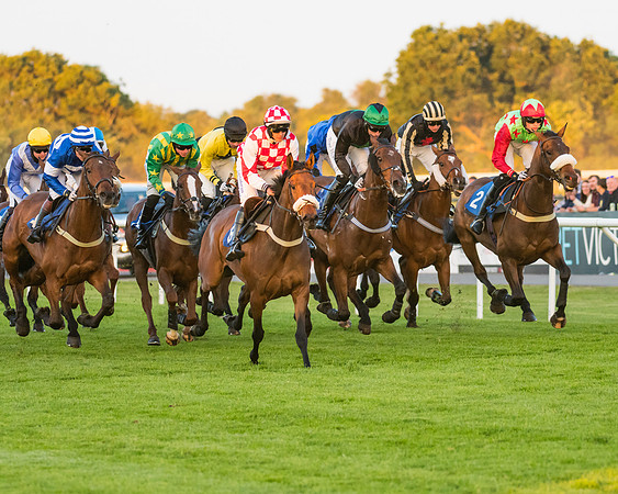 Race 7 - ITM Championship Bumper (35 of 61)