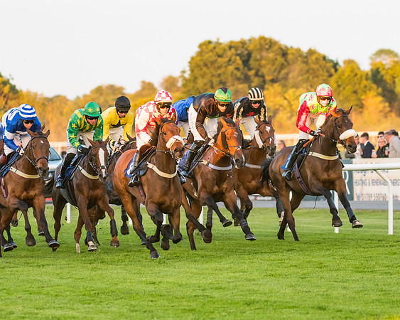 Race 7 - ITM Championship Bumper (36 of 61)