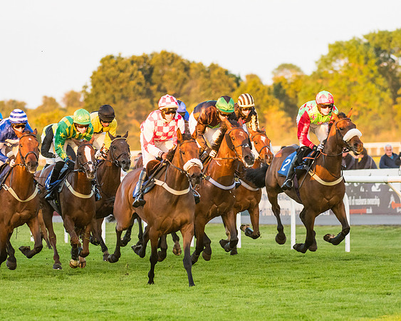 Race 7 - ITM Championship Bumper (38 of 61)