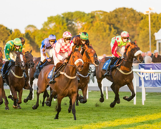 Race 7 - ITM Championship Bumper (39 of 61)