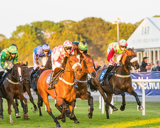 Race 7 - ITM Championship Bumper (40 of 61)