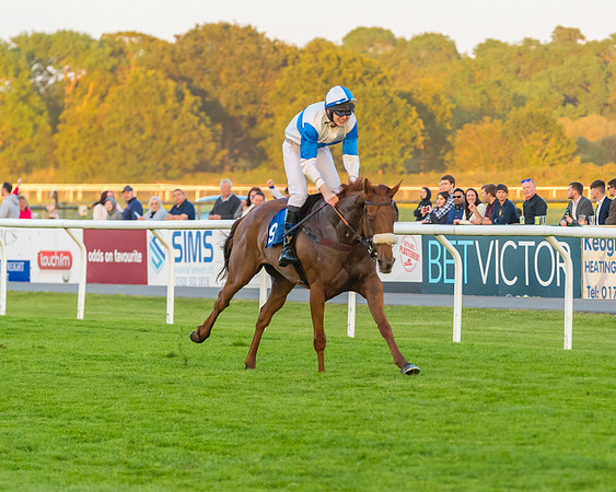 Race 7 - ITM Championship Bumper (44 of 61)