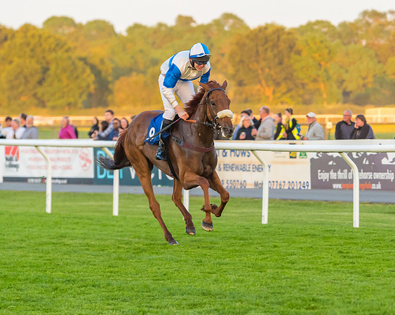 Race 7 - ITM Championship Bumper (47 of 61)