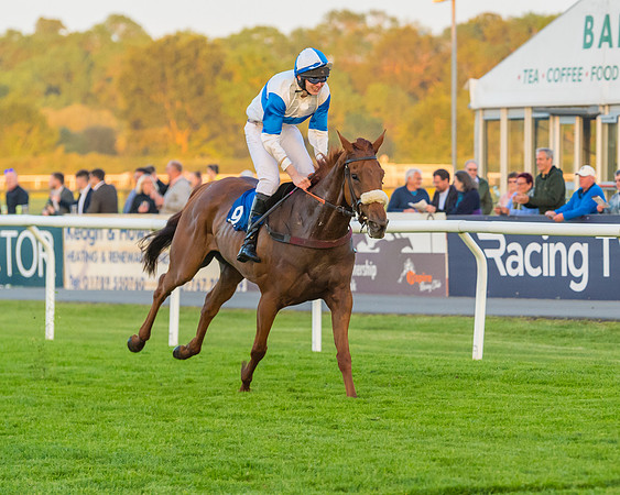 Race 7 - ITM Championship Bumper (48 of 61)