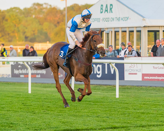 Race 7 - ITM Championship Bumper (50 of 61)