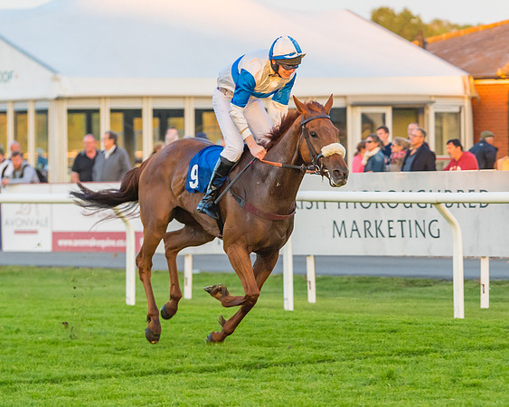 Race 7 - ITM Championship Bumper (51 of 61)