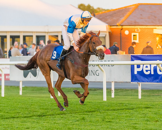 Race 7 - ITM Championship Bumper (52 of 61)