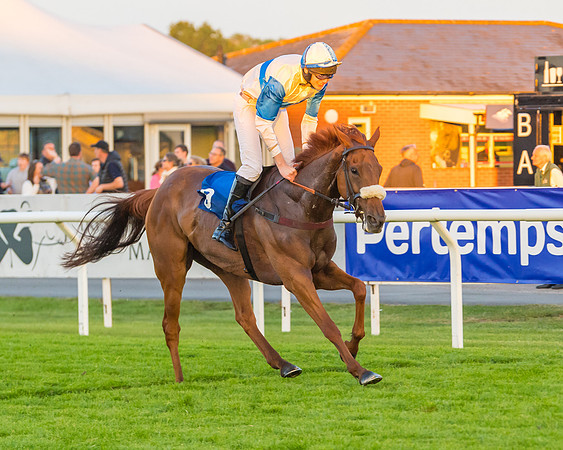 Race 7 - ITM Championship Bumper (53 of 61)