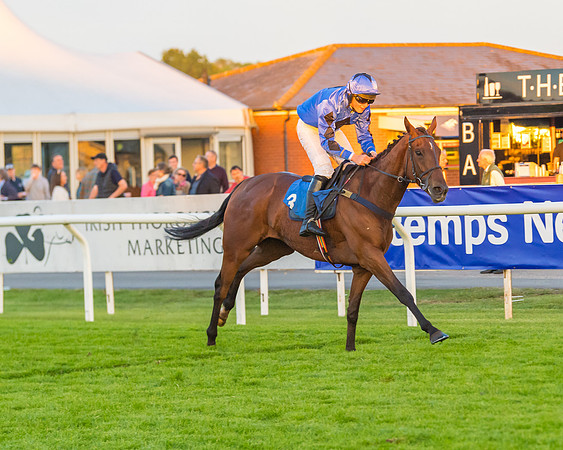 Race 7 - ITM Championship Bumper (54 of 61)