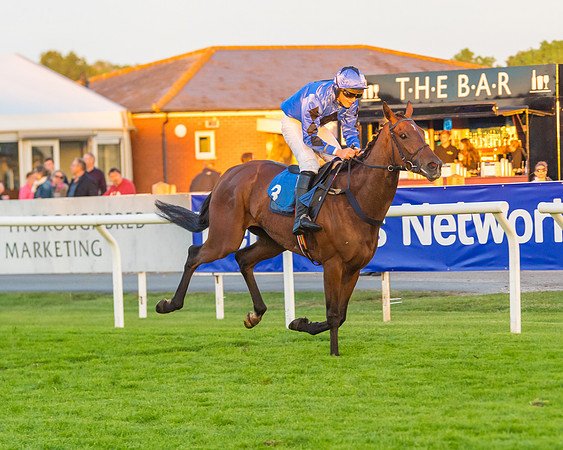 Race 7 - ITM Championship Bumper (55 of 61)