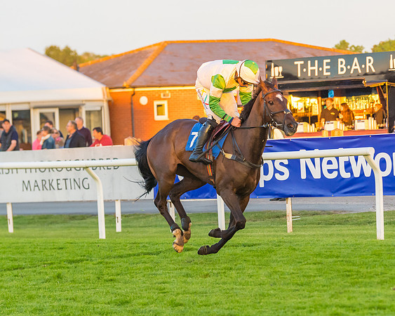 Race 7 - ITM Championship Bumper (57 of 61)