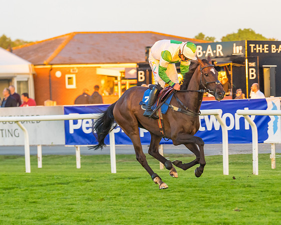 Race 7 - ITM Championship Bumper (58 of 61)