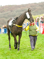 Race 3 - 4-5-6 Maiden 7