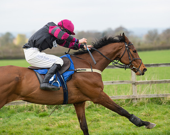 Race 6 - The Restricted Race (135 of 200)