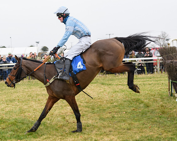 Race 2 - Restricted (70 of 100)