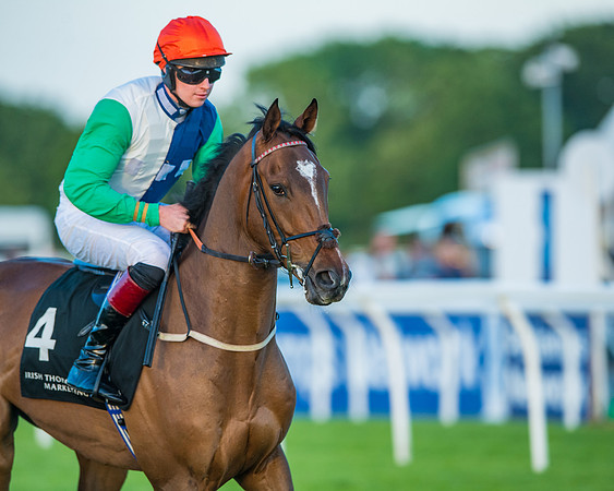 Race 7 - ITM Bumper (32 of 72)