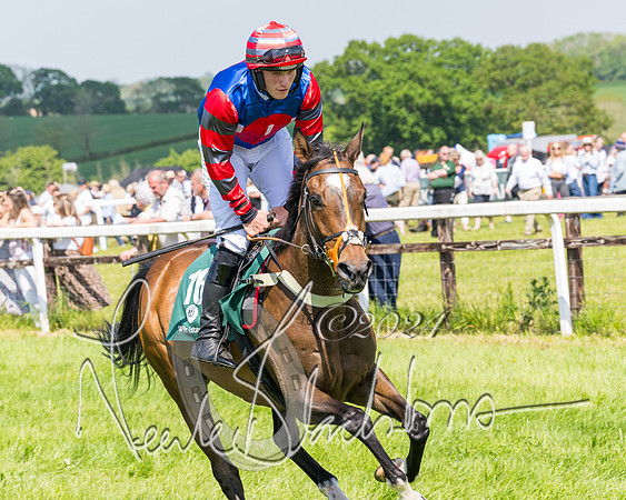 Race 2 - The Maiden  (117 of 442)