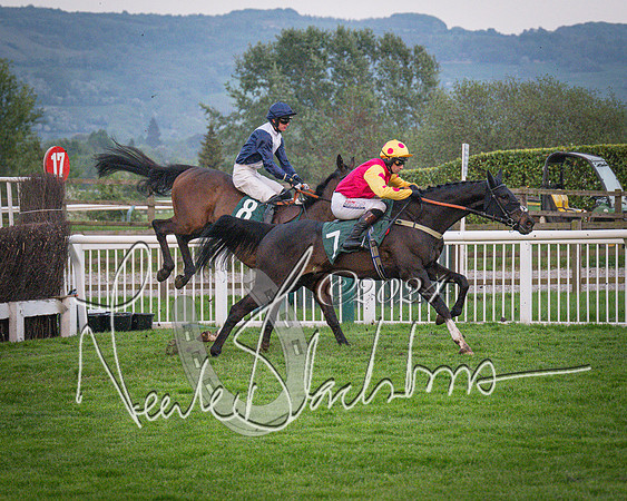 Race - 7 The Royal Gloucester Hussars Open Hunter's steeplechase 2m4f 127y (80 of 210)