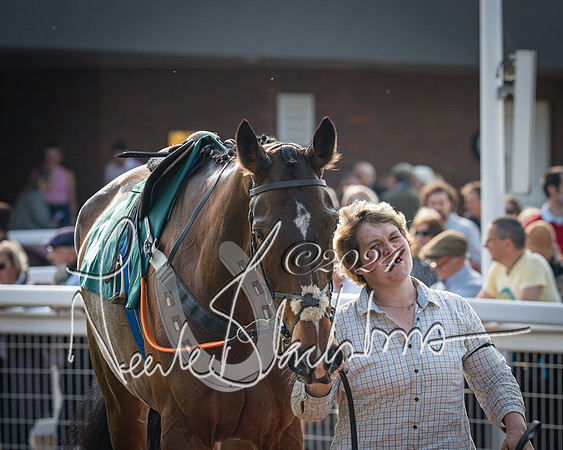 Race 2 - The Venatour sports travel intermediate point to point hunters’ steeplechase 5 year olds and over 3m2f (21 of 163)