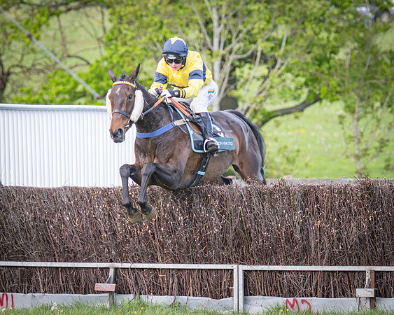 Race 6 - The sir James Shuckburgh Restricted race (49 of 85)