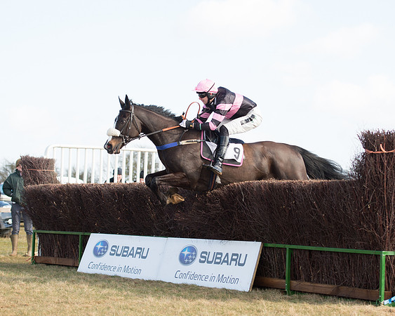 Race 1 - 4-5-6 Maiden (84 of 119).jpg