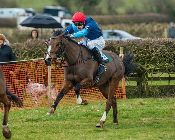 Pony Race 3 (44 of 67)