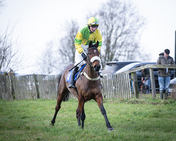 Race 2 - Maiden (24 of 145)