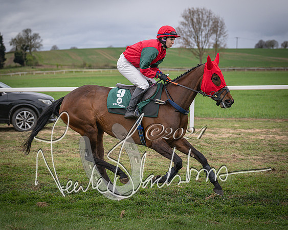 Race 6 - The Restricted Race (14 of 101)