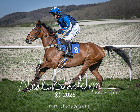 Race 6 - Veteran horse (41 of 109)
