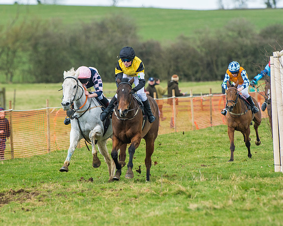 Pony Race 3 (19 of 67)