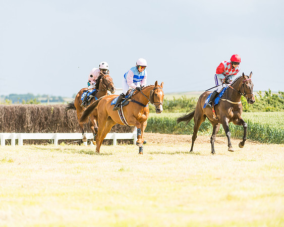 Race 4 - Ladies Open  (12 of 48)