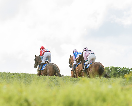 Race 4 - Ladies Open  (36 of 48)