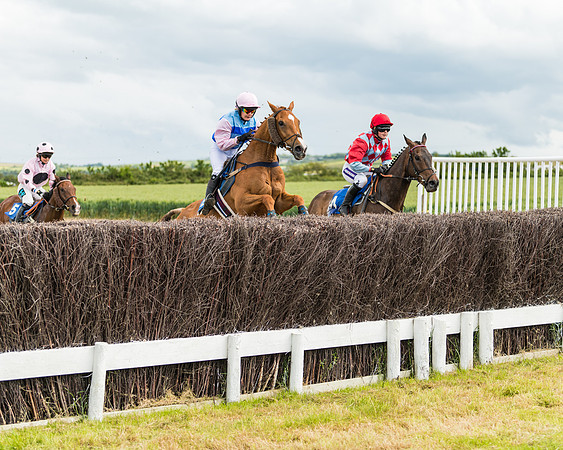 Race 4 - Ladies Open  (39 of 48)
