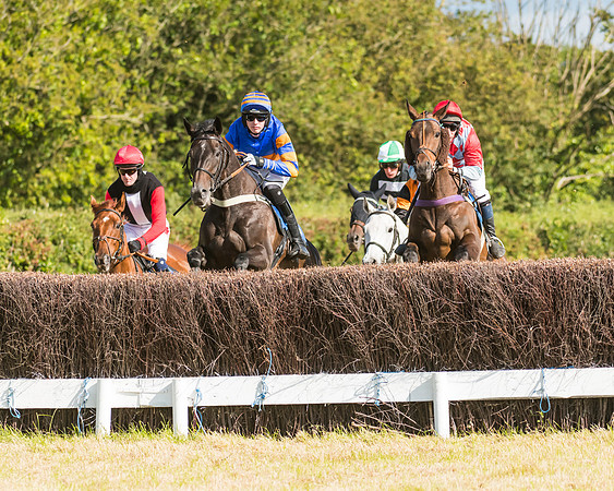 Race 6 - Open Maiden (19 of 74)