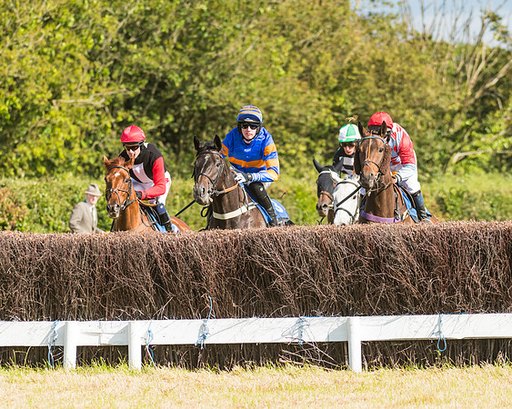 Race 6 - Open Maiden (18 of 74)