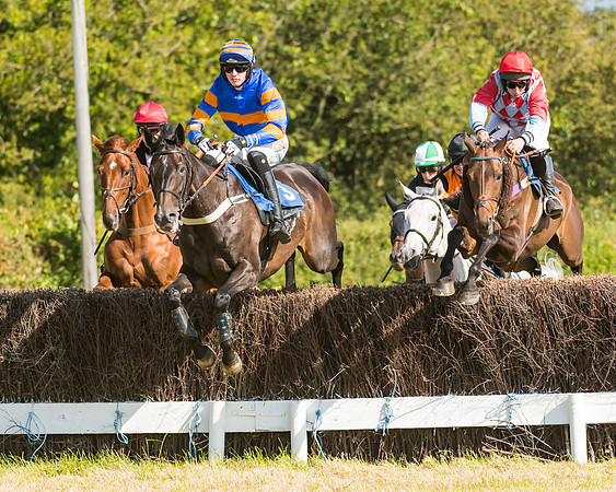 Race 6 - Open Maiden (21 of 74)