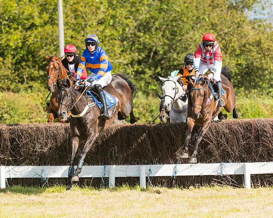 Race 6 - Open Maiden (22 of 74)