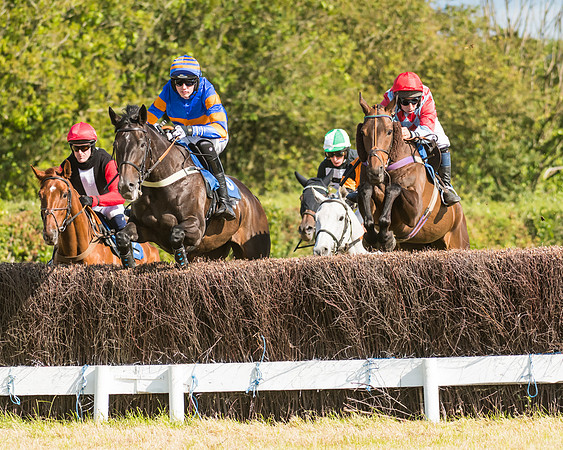 Race 6 - Open Maiden (20 of 74)