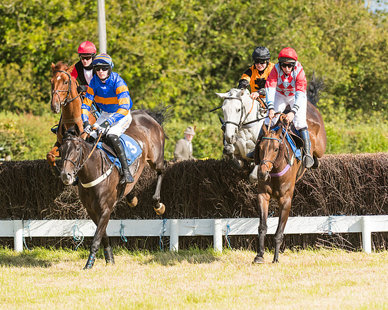 Race 6 - Open Maiden (23 of 74)
