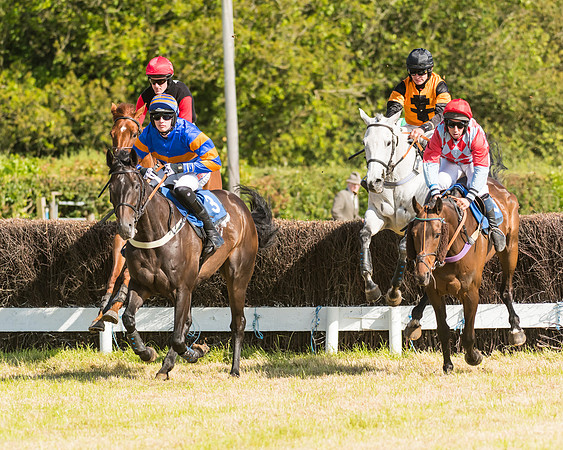 Race 6 - Open Maiden (24 of 74)